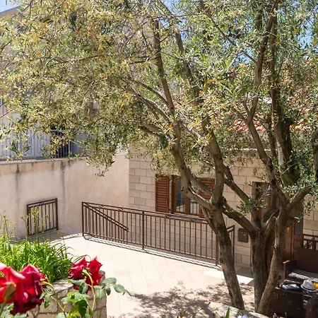 Divanovic * ドゥブロブニク